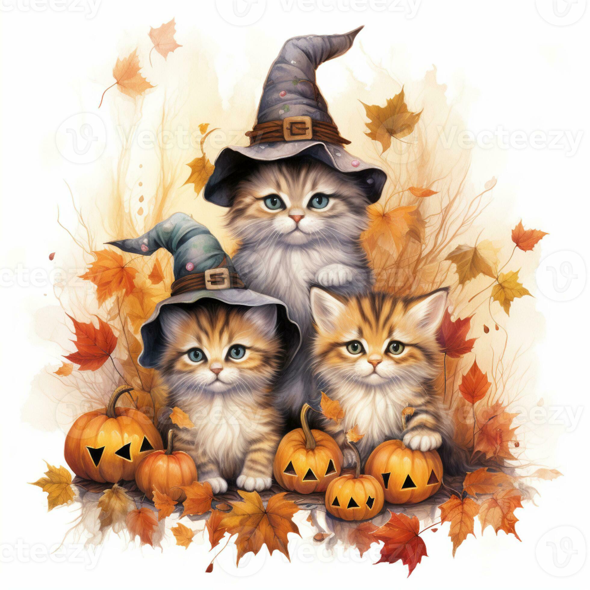 28050311-herfst-schattig-katten-in-een-heks-hoed (1).jpg