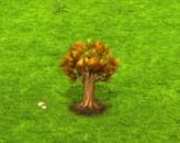 aloidendrondichotomum_upgrade_0.gif