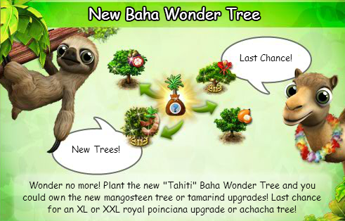 baha trees.png