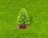 baldcypress_upgrade_0.gif