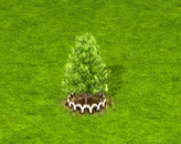baldcypress_upgrade_1.gif