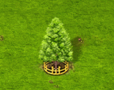 baldcypress_upgrade_2.gif