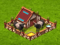 beltedgallowaycow_upgrade_0.gif