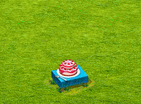 birthday surprise.gif