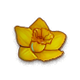 blossom_big.png