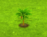 bluebanana_upgrade_0.gif