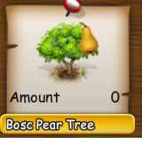 Bosc Pear tree.png