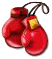 boxing gloves.png