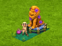 breedingqmay2025q3mammal.gif