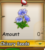 Chicory Seeds.png