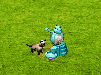 chow-miaow.gif