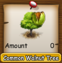 common walnut.png