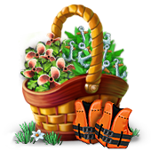 compoundaug2023basket3_big.png