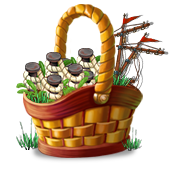 compoundjul2024basket2_big.png