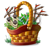 compoundjul2024basket3_big.png