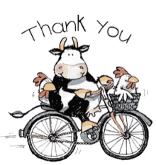 cows-thank-you.gif