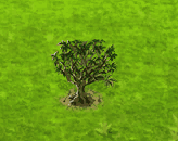 dicefarmingjul2025grav_upgrade_0.gif