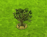 dicefarmingjul2025grav_upgrade_2.gif