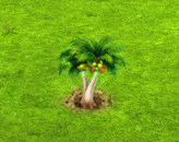 dicefarmingjul2026roystonea_upgrade_0.gif