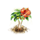 dicefarmingjul2026roystonea_upgrade_0.png