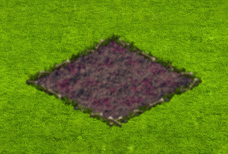 dungeonjun2026bonebush.gif