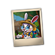 expeditionstar_big.png