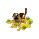 fallgift2016autumnleaves_big.png