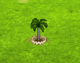 fishtailpalm_upgrade_1.gif
