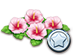 flower_rewards_01.png