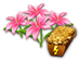 flower_rewards_11.png