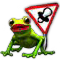 frog quest icon.png
