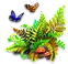 funky fern project.png