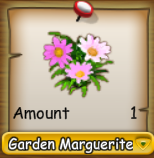 Garden Marguerite Seeds.png