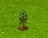 giantsequoia_upgrade_0.gif