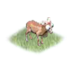 givergoat_big.png