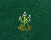 grave candle cactus.gif
