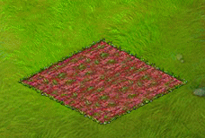 harvestnov2025fountaingrass.gif