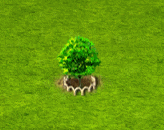 kentuckycoffeetree_upgrade_1.gif