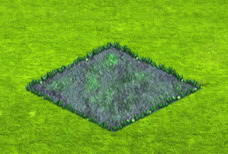linkthreesep2026cateyebloom1.gif