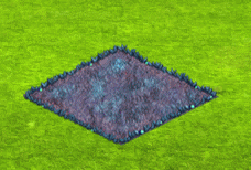 linkthreesep2026cateyebloom3.gif