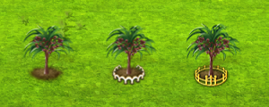 loneliest palm - all.png