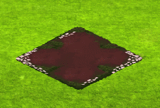 mexicanbutterwort.gif