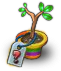 MysterySeedling3.png