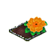 omnilayermay2026primrosebaha.png