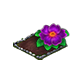 omnilayermay2026primrosefm.png