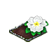 omnilayermay2026primrosemain.png
