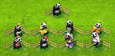 panda-all.gif