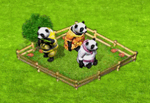 panda-group.gif