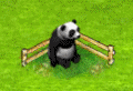 panda-single.gif