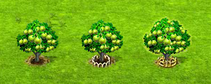 pequi tree - all.png